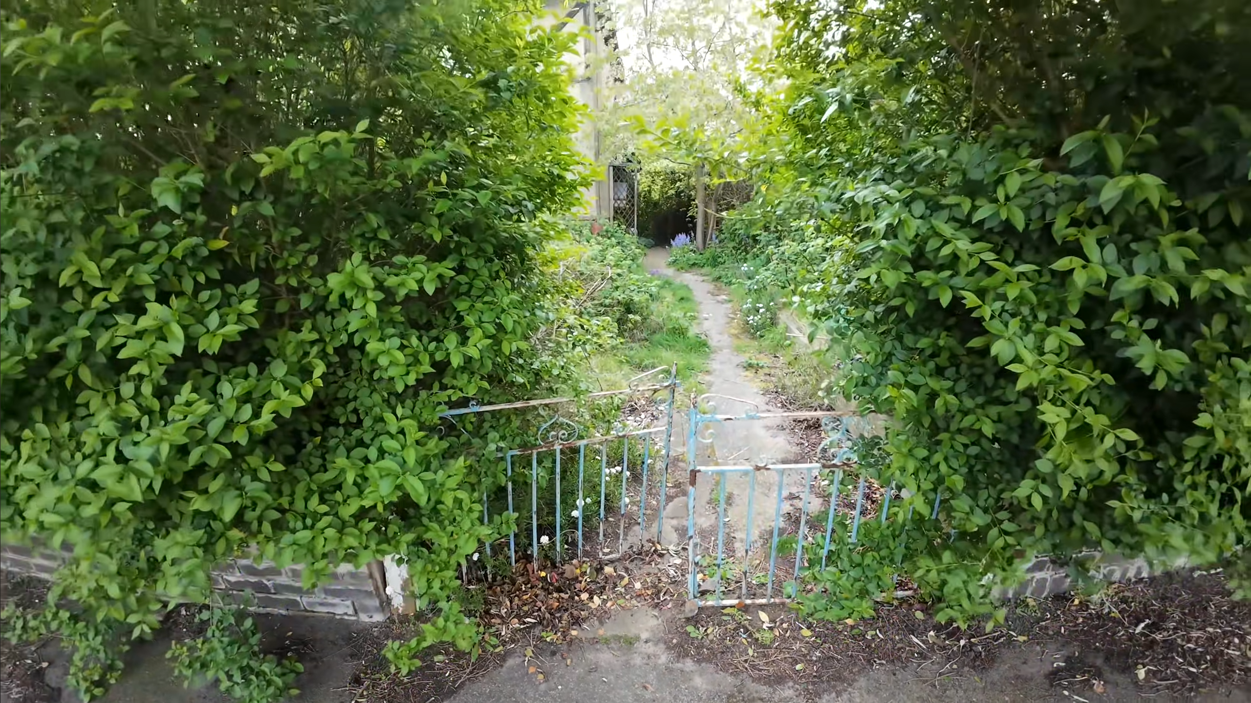 Przed - Prace porządkowe
